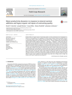 Maize productivity dynamics in response to mineral nutrient