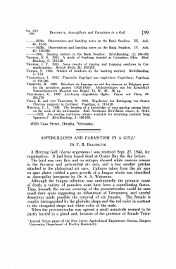 ASPERGILLOSIS AND PARASITISM IN A GULL