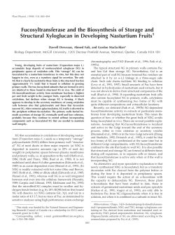 Fucosyltransferase and the Biosynthesis of Storage