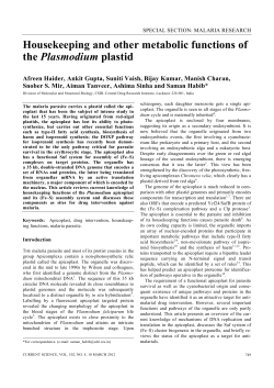 Housekeeping and other metabolic functions of