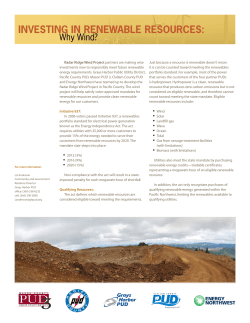 investing in renewable resources