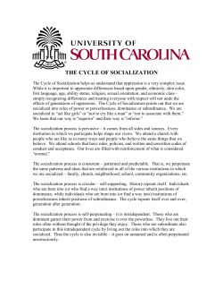 THE CYCLE OF SOCIALIZATION
