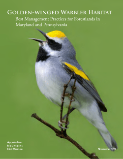 GOldEN-wiNGEd WARblER HAbitAt - Appalachian Mountains Joint