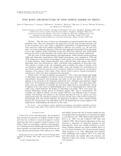 fine root architecture of nine north american trees
