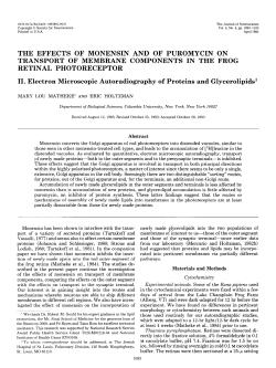 THE EFFECTS OF MONENSIN AND OF PUROMYCIN ON