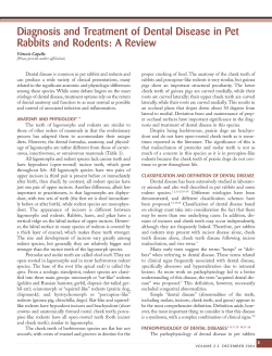 AEMV NEWSLETTER 12/04