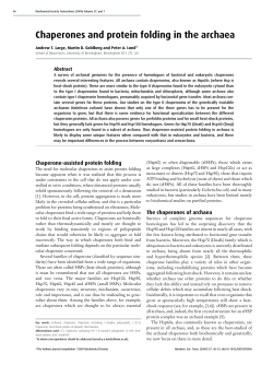 Chaperones and protein folding in the archaea
