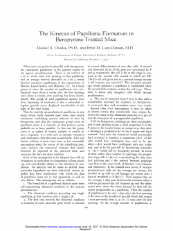 The Kinetics of Papilloma Formation in