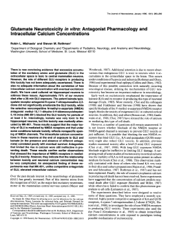 Glutamate Neurotoxicity in vitro: Antagonist Intracellular Calcium