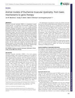 Animal models of Duchenne muscular dystrophy