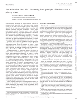 The brain robot &ldquo;Herr Tie&rdquo;: discovering basic principles of brain
