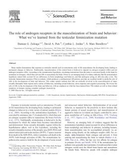 The role of androgen receptors in the masculinization of