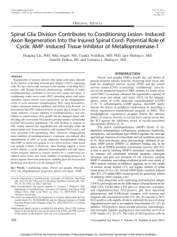 Spinal Glia Division Contributes to Conditioning LesionYInduced