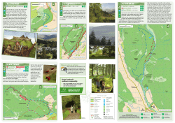 Forests of the Southern Uplands