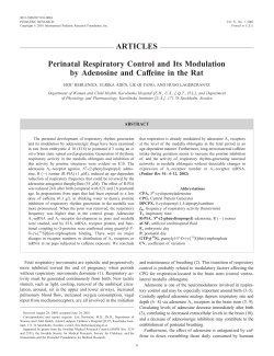 Perinatal Respiratory Control and Its Modulation by Adenosine and