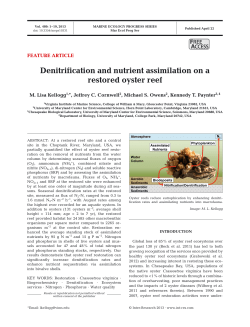 Denitrification and nutrient assimilation on a restored oyster reef