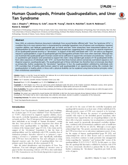 Human Quadrupeds, Primate Quadrupedalism
