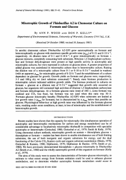 Mixotrophic Growth of Thiobacillus A2 in Chemostat