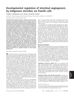 Developmental regulation of intestinal angiogenesis by indigenous