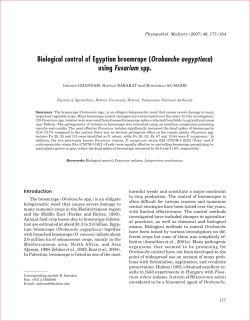 Biological control of broomrape (Orbanche aegyptica)
