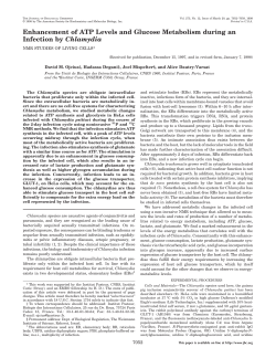Enhancement of ATP Levels and Glucose Metabolism