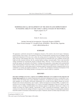 MORPHOLOGICAL DEVELOPMENT OF THE MOUTH AND