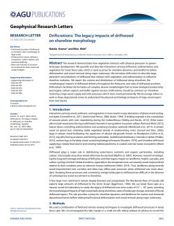 Driftcretions: The legacy impacts of driftwood on shoreline morphology