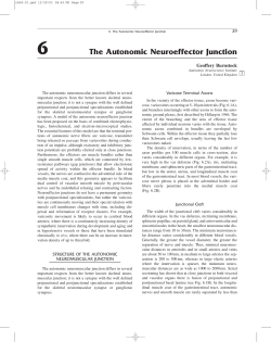 The Autonomic Neuroeffector Junction