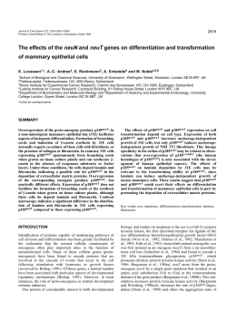 The effects of the neuN and neuT genes on differentiation and