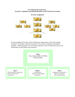 Let`s Become the Expert On&hellip; Executive, Legislative and Judicial