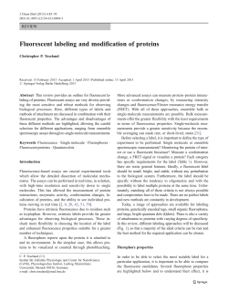 Fluorescent labeling and modification of proteins