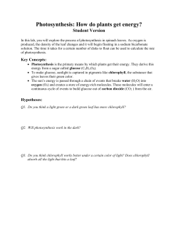 Photosynthesis: How do plants get energy? Student Version