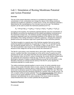 Lab 1: Simulation of Resting Membrane Potential
