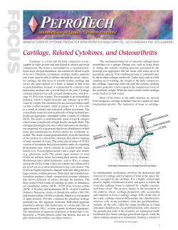 Cartilage, Related Cytokines, and Osteoarthritis