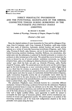 direct peristaltic progression and the functional significance of the