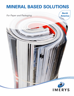 MINERAL BASED SOLUTIONS