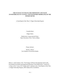 The Ecology of Wrack - Hudson River Foundation