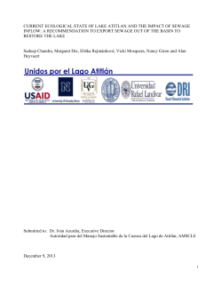 current ecological state of lake atitlan and the