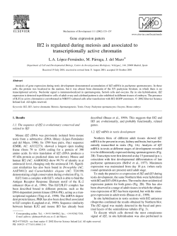 Ilf2 is regulated during meiosis and associated to