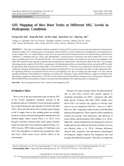 QTL Mapping of Rice Root Traits at Different NH4 Levels in