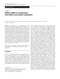 Gliding motility in cyanobacteria: observations and possible