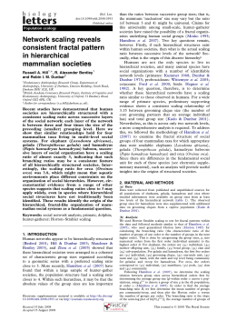 Network scaling reveals consistent fractal pattern in hierarchical