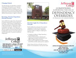 dependency overrides