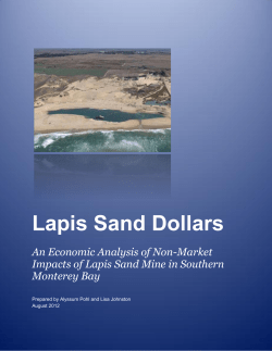 Lapis Sand Dollars - Center for the Blue Economy