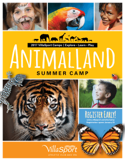 AnimalLand Summer Camp brochure