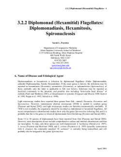 3.2.2 Diplomonad (Hexamitid) Flagellates - AFS