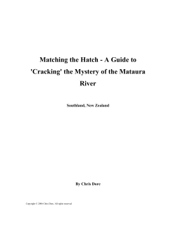 Matching the Hatch - A Guide to `Cracking` the Mystery