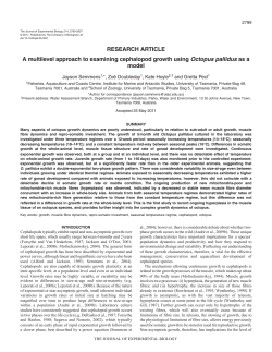 A multilevel approach to examining cephalopod growth using