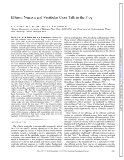 Efferent Neurons and Vestibular Cross Talk in the Frog