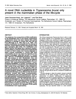 A novel DNA nucleotide in Trypanosoma brucei